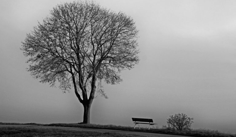 Spendenübergabe Arche Wangen
